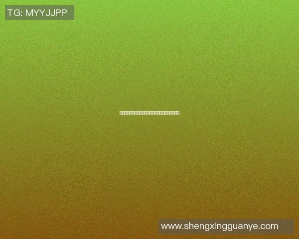 篮球巨星亲临英超赛场感受足球魅力与激情的完美交融